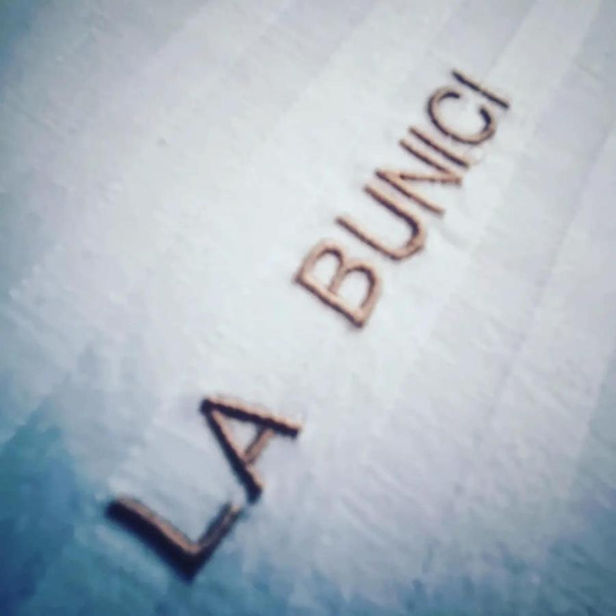 Ferienwohnung La Bunici Baia Mare Exterior foto